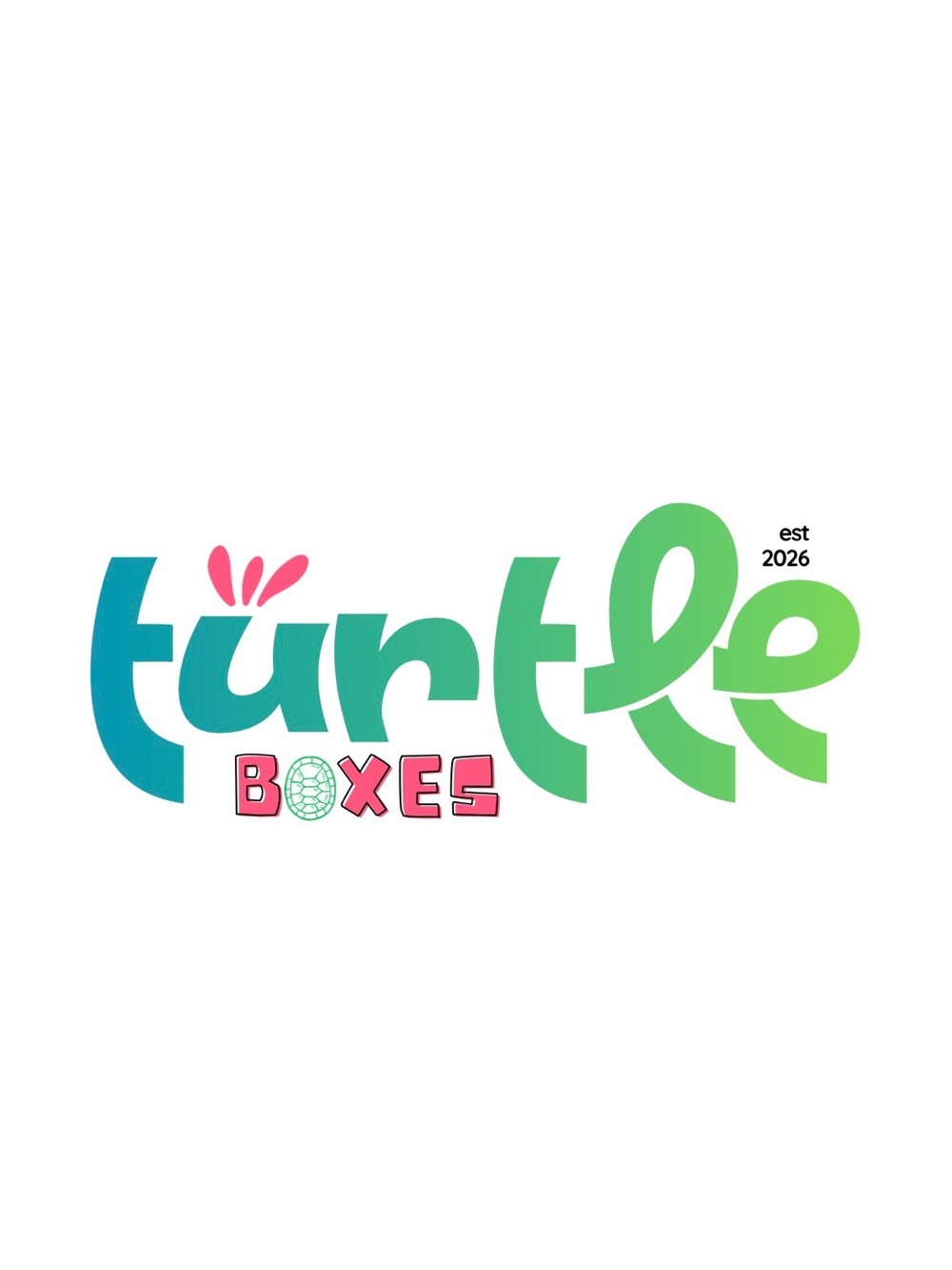 Turtle Box: MYSTERY BOX WOMENS MAURICES TOPS SIZE SMALL